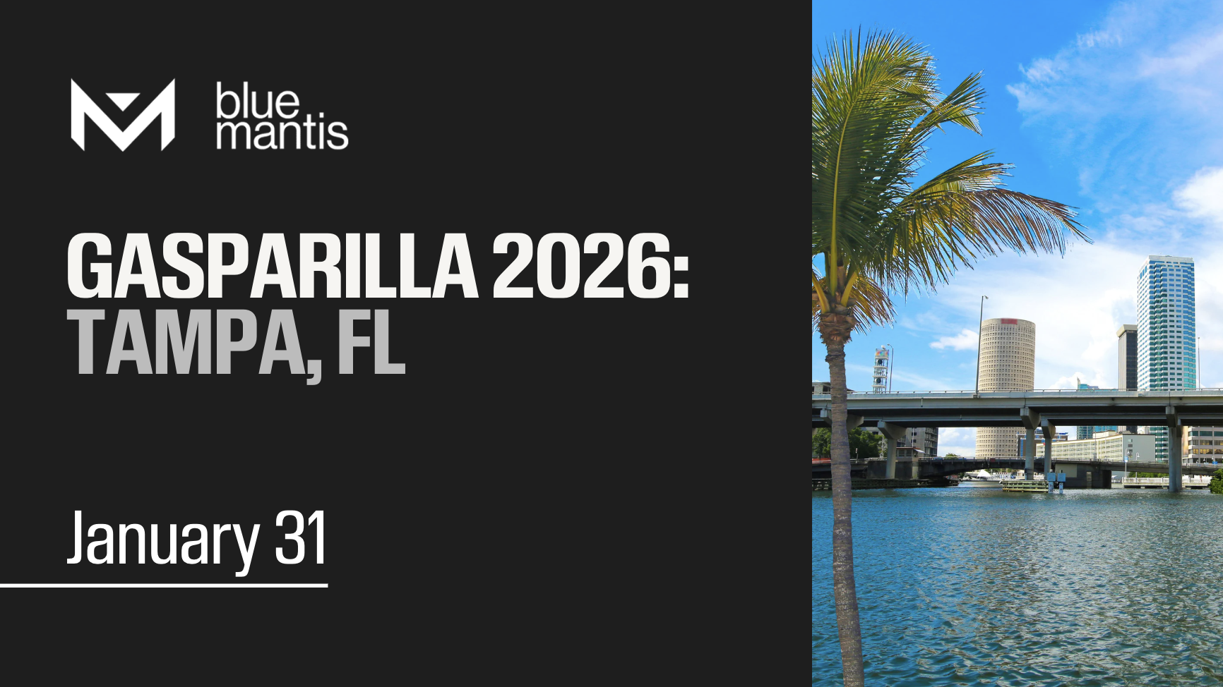 Gasparilla 2026